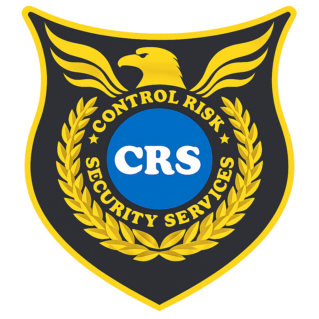 Control Risk logo